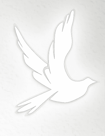 Dawn Marie Mitchell Obituary